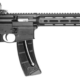 SMITH & WESSON MP15-22 Sport cal.22 LR