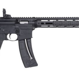 CARABINE S&W M&P15-22 SPORT MOE NOIRE 16.5″ CAL.22LR