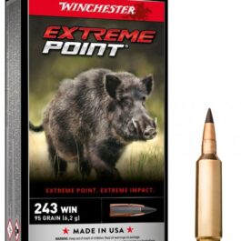 WINCHESTER cal.243 Win Extreme Point 95 grains – 6.1 grammes /20
