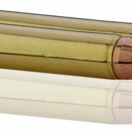WINCHESTER cal.45-70 Gvt Jacketed Hollow Point 300 grains – 19.4 grammes /20