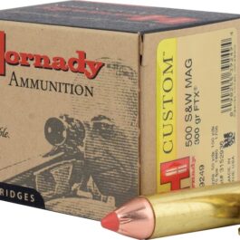BOITE DE 20 CARTOUCHES HORNADY 500 S&W 300 GR FTX