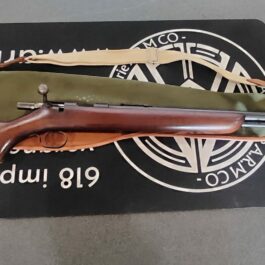 Carabine Winchester M72 22 S/L/LR  Occasion