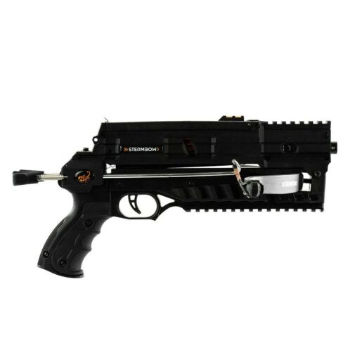 AR-6 Stinger II Compact