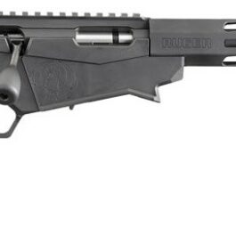Carabine 22Lr RUGER Precision Rimfire