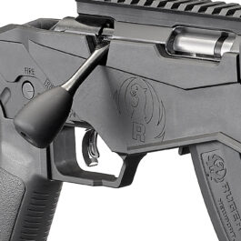 Carabine 22Lr RUGER Precision Rimfire
