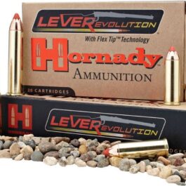 BOITE DE 20 CARTOUCHES HORNADY 41 REM MAG 190 GR FTX