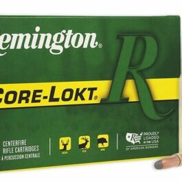 REMINGTON cal.280 Rem SP Core Lokt 165 grains – 10.7 grammes