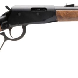 Carabine à levier sous-garde SAVAGE REVEL Classic cal.22 Lr