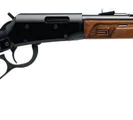 Carabine à levier sous-garde SAVAGE REVEL DLX cal.22 Lr