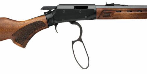 Carabine à levier sous-garde SAVAGE REVEL DLX cal.22 Lr – Image 9