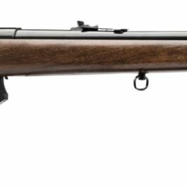 Carabine 22 LR Norinco mod. JW15