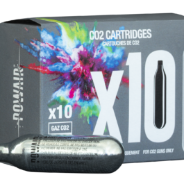 CARTOUCHES CO2 8GR X 10