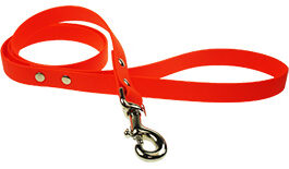 LAISSE BIOTHANE BETA 1,20MLX19MM ORANGE