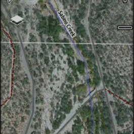 GARMIN Pack collier repérage/dressage Alpha 200 F PLUS avec collier TT25F