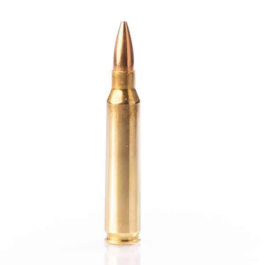 Cartouches Fiocchi classic c/.223 rem – 55 grs – fmj