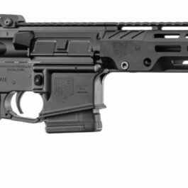 Carabine DIAMONDBACK DB15 SBR 11.5” cal. 223 Rem