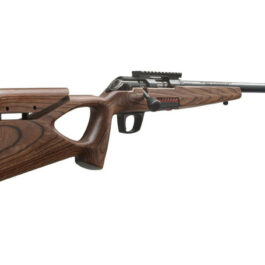 Carabine Winchester Xpert THUMBHOLE FILETE WINCHESTER 18″ – Catégorie C 22 LR