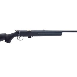 CARABINE NR15 CAL.22LR