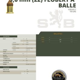 CARTOUCHES SB 22 D.C.FLOBERT BOSQUETTE X 100