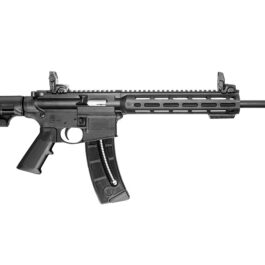 SMITH & WESSON CARABINE S&W M&P15-22 SPORT 16.5″ CAL.22LR 10208*