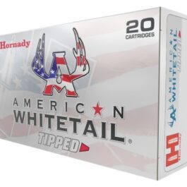 HORNADY BOITE DE 20 CARTOUCHES HORNADY 243 WIN 95 GR SST AWT