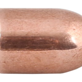 Ogives CAM PRO cal.40 SW 11,66g/180 grains Ø.400 RN-FCP /500