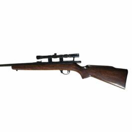 Carabine Squires Bingham 14P canon fileté 22 lr