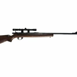 Carabine Squires Bingham 14P canon fileté 22 lr