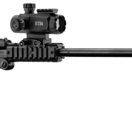 Pack carabine pliante Chiappa Little Badger 22 LR
